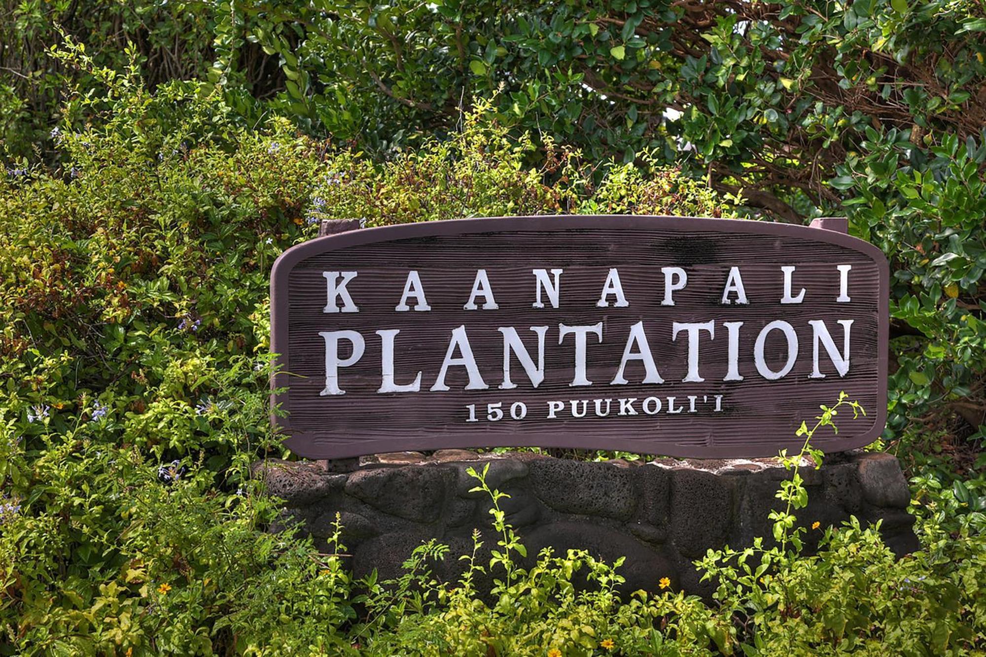 Kaanapali Plantation Condominiums Rom bilde