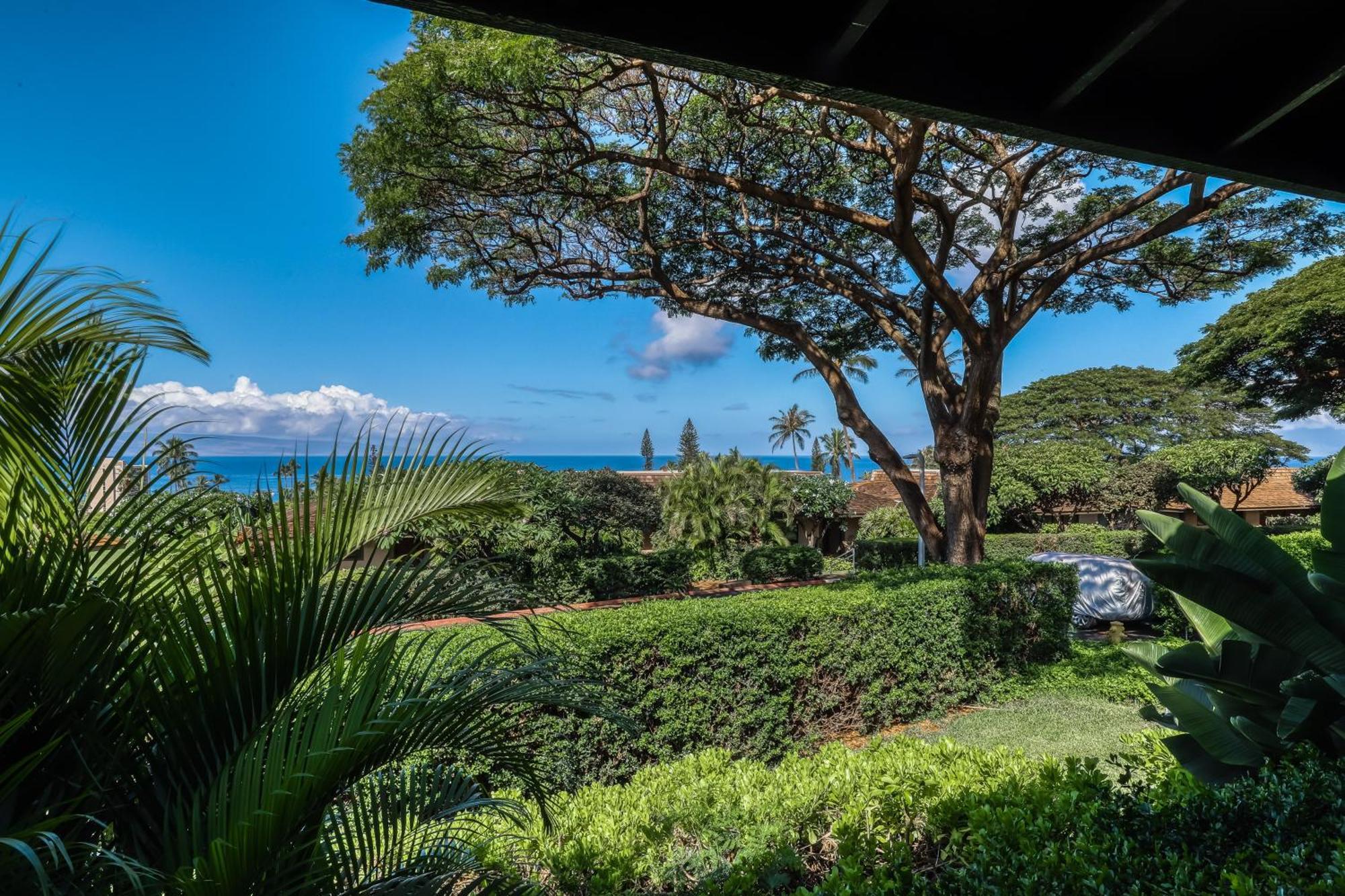 Kaanapali Plantation Condominiums Rom bilde
